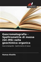 Hamza Khalifa - Gascromatografia - Spettrometria di massa (GC-MS) nella geochimica organica