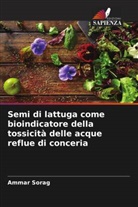 Ammar Sorag - Semi di lattuga come bioindicatore della tossicità delle acque reflue di conceria