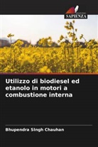 Bhupendra Singh Chauhan - Utilizzo di biodiesel ed etanolo in motori a combustione interna