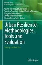Valentina Antoniucci, Alberto Cedeño Valdiviezo, Octavio Francisco González Castillo, Margarita Juárez Nájera, Enrique Mendieta Márquez, Enri Mendieta Márquez et al... - Urban Resilience: Methodologies, Tools and Evaluation