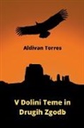 Aldivan Torres - V Dolini Teme in Drugih Zgodb