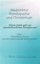 Antonia Katharina Tessnow - Akupunktur, Homöopathie und Christentum - Welche Gefahr geht von naturheilkundlichen Therapien aus?