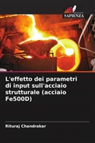 Rituraj Chandrakar - L'effetto dei parametri di input sull'acciaio strutturale (acciaio Fe500D)