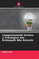 Babji Gudla - Comportamento térmico e Tribológico dos Brakepads Não Amianto