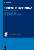 Andreas Urs Sommer, Heidelberger Akademie der Wissenschaften, Heidelberger Akademie der Wissenschaften - Historischer und kritischer Kommentar zu Friedrich Nietzsches Werken - Band 2.1: Kommentar zu Nietzsches "Menschliches, Allzumenschliches" I, 2 Teile