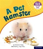 Catherine Casey, Amy Jindra - Essential Letters and Sounds: Essential Phonic Readers: Oxford