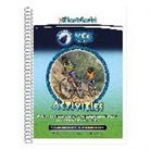 Phonic Books - Phonic Books Moon Dogs VCe Spellings Activities