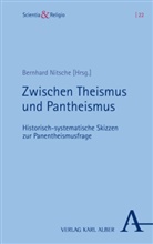 Markus Enders, Bernhard Nitsche, Bernhard Uhde - Zwischen Theismus und Pantheismus