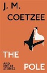 J. M. Coetzee - The Pole and Other Stories