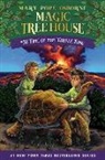 AG Ford, Mary Pope Osborne - Time of the Turtle King