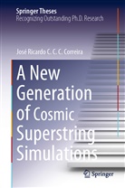 José Ricardo C C C Correira, José Ricardo C. C. C. Correira - A New Generation of Cosmic Superstring Simulations