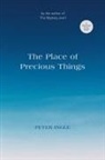 Peter Ingle - The Place of Precious Things