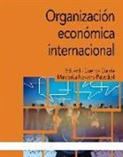 Organización económica internacional