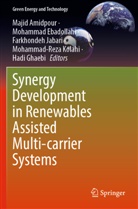 Majid Amidpour, Mohammad Ebadollahi, Hadi Ghaebi, Farkhondeh Jabari, Farkhondeh Jabari et al, Mohammad-Reza Kolahi - Synergy Development in Renewables Assisted Multi-carrier Systems