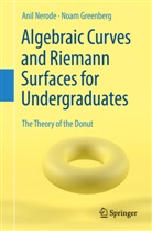 Noam Greenberg, Anil Nerode - Algebraic Curves and Riemann Surfaces for Undergraduates