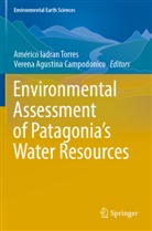 Agustina Campodonico, Verena Agustina Campodonico, Américo Iadran Torres, Américo Iadran Torres - Environmental Assessment of Patagonia's Water Resources