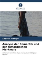 Adewale Tiamiyu - Analyse der Romantik und der romantischen Merkmale