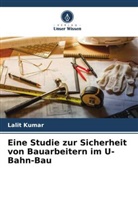 Lalit Kumar - Eine Studie zur Sicherheit von Bauarbeitern im U-Bahn-Bau