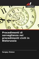 Sergey Zlatan - Procedimenti di sorveglianza nei procedimenti civili in Bielorussia