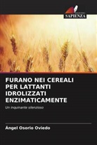 Ángel Osorio Oviedo - FURANO NEI CEREALI PER LATTANTI IDROLIZZATI ENZIMATICAMENTE
