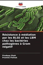 Pramila Pathak, Pradeep shah - Résistance à médiation par les BLSE et les LBM chez les bactéries pathogènes à Gram négatif