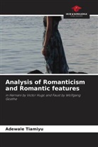 Adewale Tiamiyu - Analysis of Romanticism and Romantic features