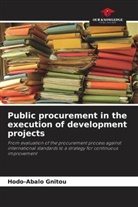Hodo-Abalo Gnitou - Public procurement in the execution of development projects