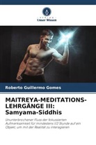 Roberto Guillermo Gomes - MAITREYA-MEDITATIONS-LEHRGÄNGE III: Samyama-Siddhis