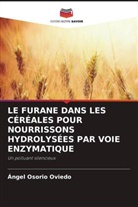 Ángel Osorio Oviedo - LE FURANE DANS LES CÉRÉALES POUR NOURRISSONS HYDROLYSÉES PAR VOIE ENZYMATIQUE