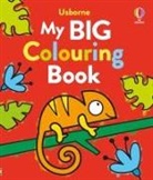 Kate Nolan, Jenny Addison, Jenny (DESIGNER) Addison - My Big Colouring Book