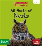 Rachel Russ - All Sorts of Nests (Set 9) Matched to Little Wandle Letters and Sounds Revised