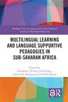 Elizabeth J. Clegg Erling, John Clegg, John (University of Bristol Clegg, Elizabeth J Erling, Elizabeth J. Erling, Colin Reilly... - Multilingual Learning and Language Supportive Pedagogies in Sub