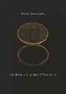 Donna Stonecipher - The Ruins of Nostalgia
