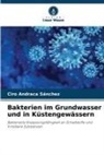 Ciro Andraca Sánchez - Bakterien im Grundwasser und in Küstengewässern