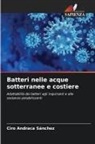Ciro Andraca Sánchez - Batteri nelle acque sotterranee e costiere