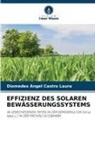 Diomedes Ángel Castro Laura - EFFIZIENZ DES SOLAREN BEWÄSSERUNGSSYSTEMS