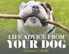 Loriann Collette - Life Advice from Your Dog