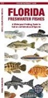 Matthew Morris, Waterford Press, Leung Raymond Leung Raymond - Florida Freshwater Fishes