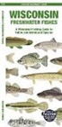 Matthew Morris, Waterford Press, Leung Raymond Leung Raymond - Wisconsin Freshwater Fishes