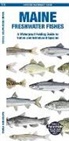 Matthew Morris, Waterford Press, Leung Raymond Leung Raymond - Maine Freshwater Fishes