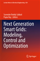Ray, Papia Ray, Surender Reddy Salkuti, Surender Reddy Salkuti, Woosong University - Next Generation Smart Grids: Modeling, Control and Optimization