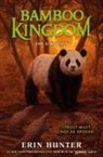 Erin Hunter - Bamboo Kingdom #4: The Dark Sun
