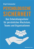 Birgit Schumacher - Psychologische Sicherheit
