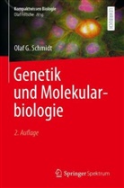 Schmidt, Olaf G Schmidt, Olaf G. Schmidt, Martin Lay - Genetik und Molekularbiologie