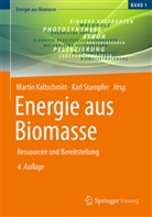Kaltschmitt, Martin Kaltschmitt, Stampfer, Karl Stampfer - Energie aus Biomasse