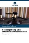 Joseph Valerie Evina - Gesetzgebung über öffentliche Unternehmen