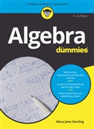 Mary Jane Sterling - Algebra für Dummies