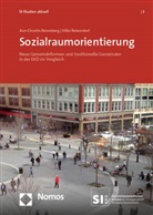 Hilke Rebenstorf, Ann-Christin Renneberg - Sozialraumorientierung