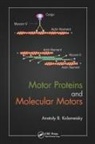 Anatoly B Kolomeisky, Anatoly B. Kolomeisky, Anatoly B. (Rice Univeristy Kolomeisky, Kolomeisky Anatoly B. - Motor Proteins and Molecular Motors