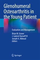 Joseph A Abboud, Joseph A. Abboud, J Gabriel Horneff III, Brian M. Grawe, J. Gabriel Horneff III - Glenohumeral Osteoarthritis in the Young Patient